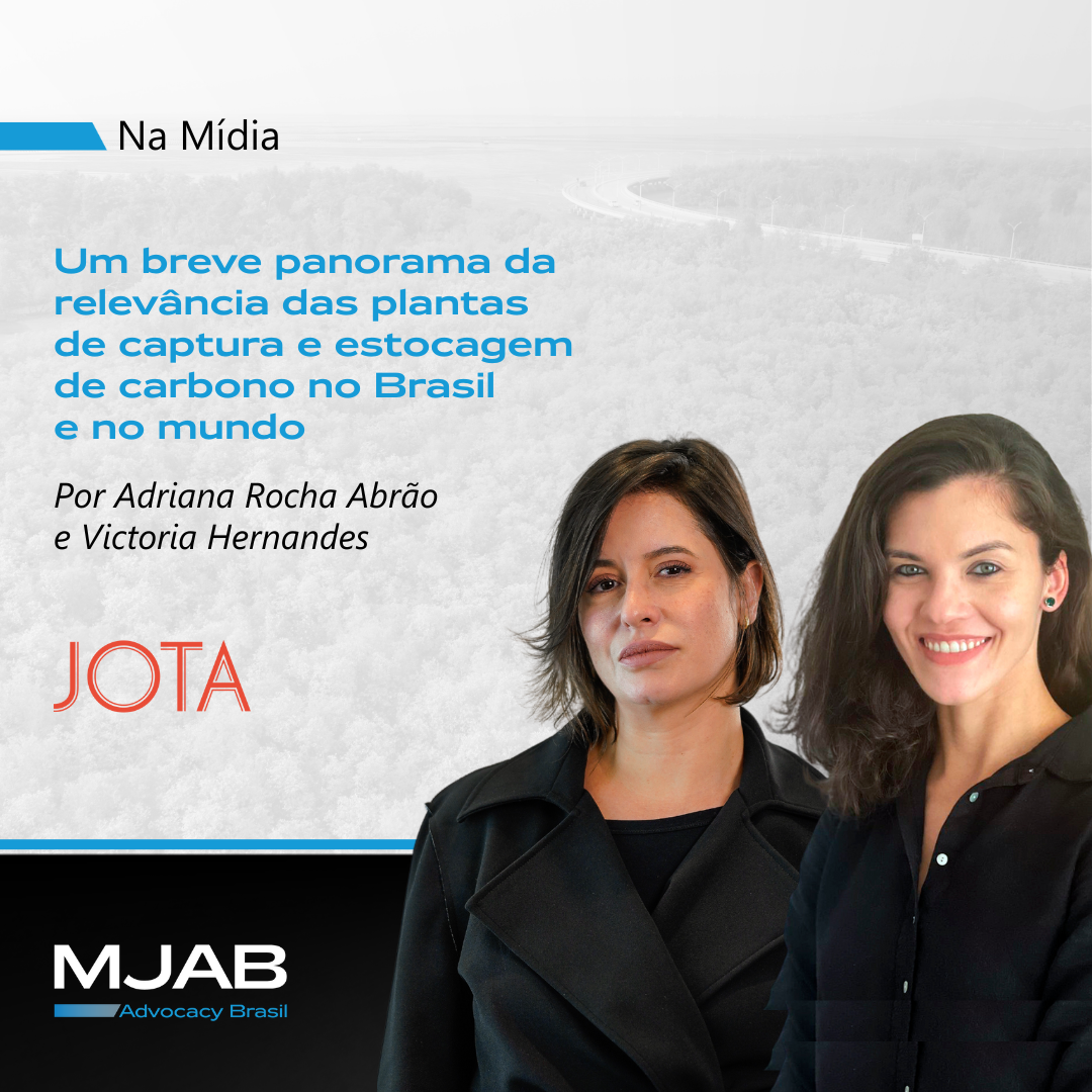 Captura e estocagem carbono
